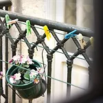 Alfama Charming